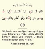 Kasas suresi 56 Ayet.jpg